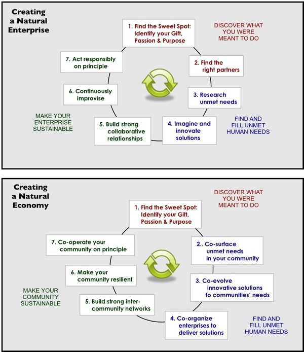 Creating a Natural Economy
