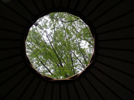 dome with trees by tree bressen