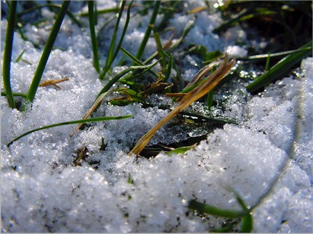 snow and green and brown grass